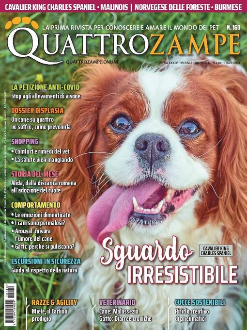 Title details for Quattrozampe by Edizioni Morelli srl - Available